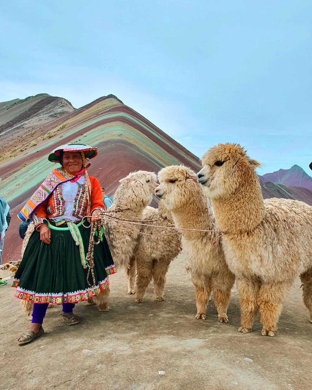 Why We 💗Llamas