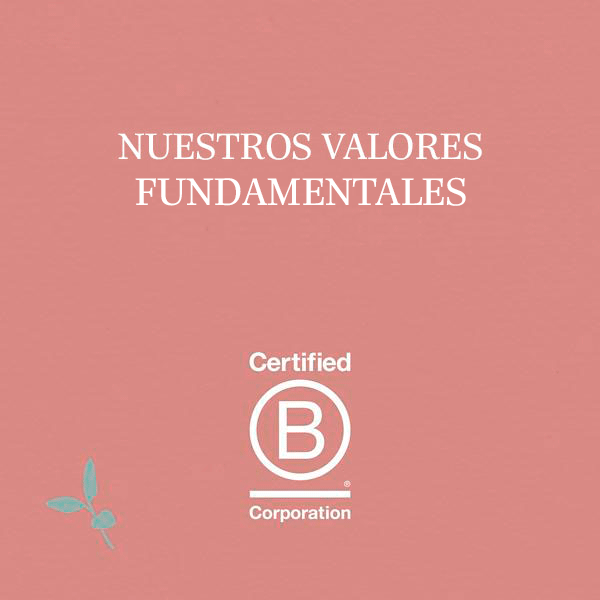 Nuestros Valores Fundamentales